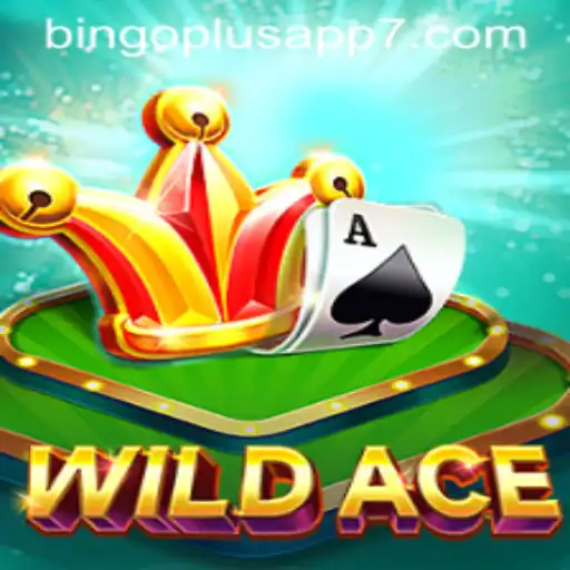 Exploring WildAce The Innovative Gaming Adventure
