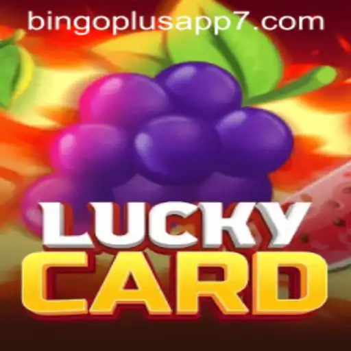 Exploring LuckyCard: A New Game Experience with Bingo Plus App